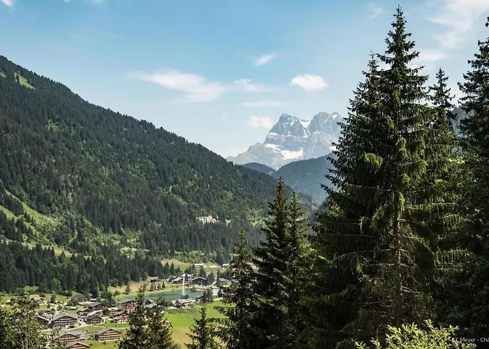 Grand Gra13 & Mountain 6 Pers Appartamento Châtel