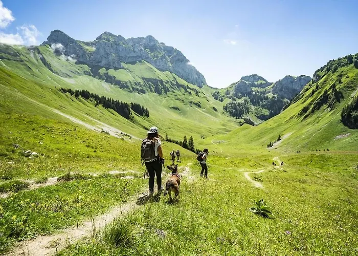 Grand Gra13 & Mountain 6 Pers Châtel
