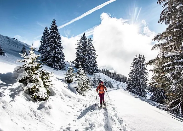 Grand Gra13 & Mountain 6 Pers Appartamento